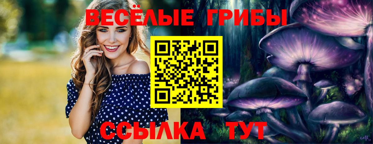 Псилоцибиновые грибы Psilocybe  Вход с VPN  цены наркотик  Саратов 