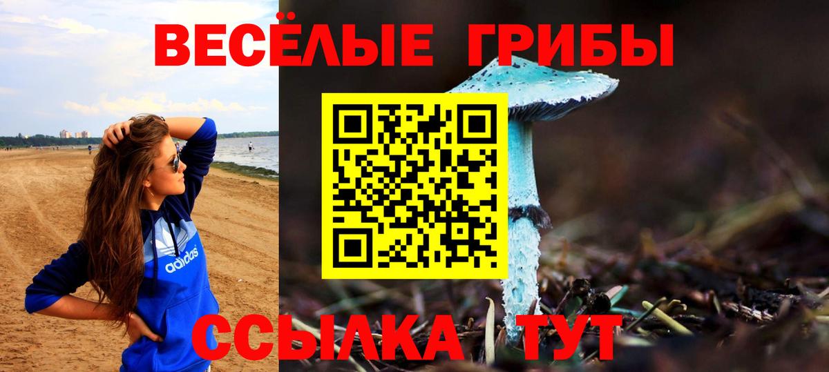 НБОМе Саратов